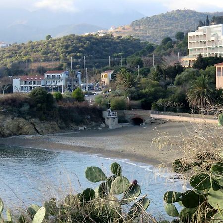 Les Pieds Dans L'Eau Apartment Banyuls-sur-Mer Exterior photo